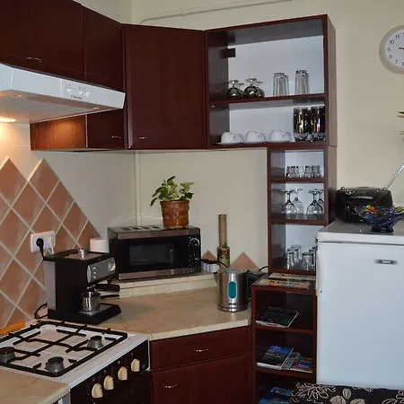 Salvus Apartman Apartment
