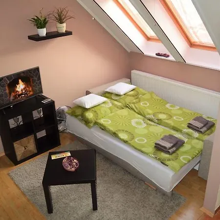 Salvus Apartman Apartment *