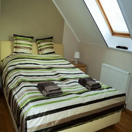 Salvus Apartman Apartment