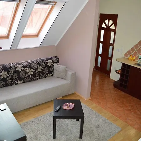 Salvus Apartman *